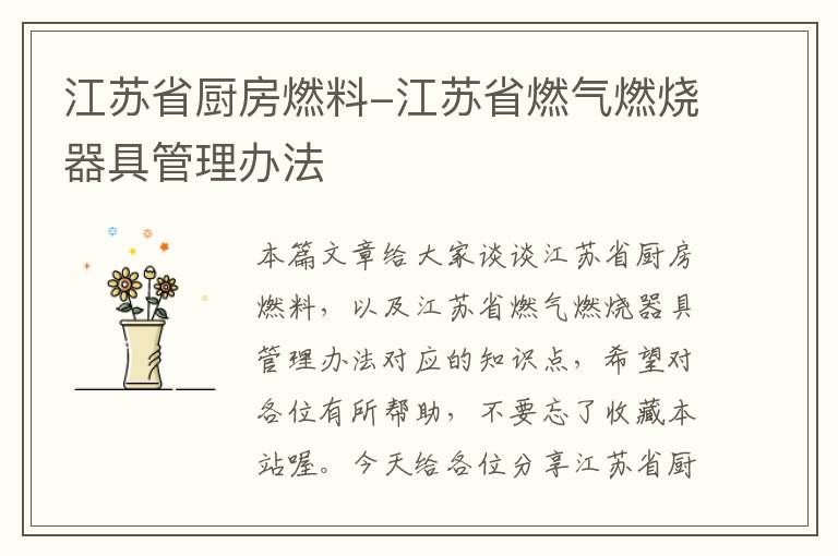 江苏省厨房燃料-江苏省燃气燃烧器具管理办法