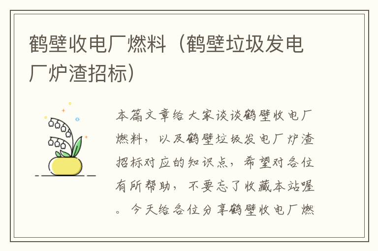 鹤壁收电厂燃料（鹤壁垃圾发电厂炉渣招标）