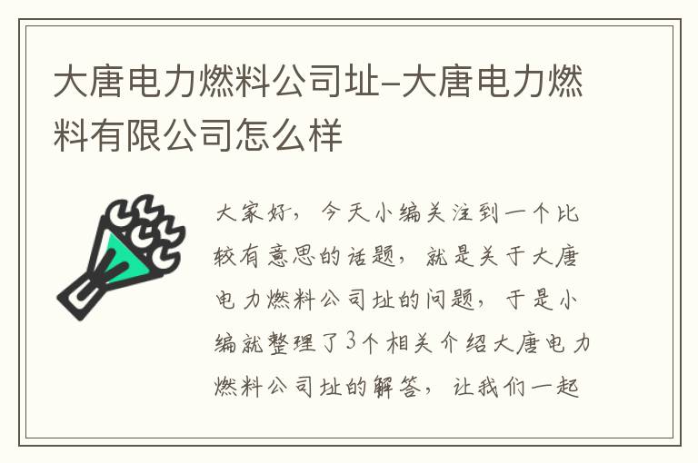 大唐电力燃料公司址-大唐电力燃料有限公司怎么样