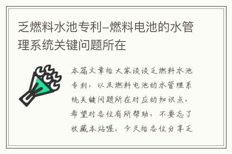 乏燃料水池专利-燃料电池的水管理系统关键问题所在