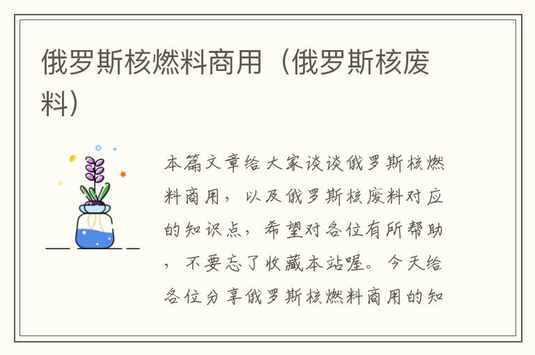 俄罗斯核燃料商用（俄罗斯核废料）