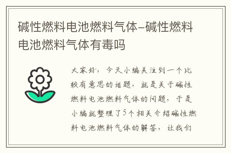 碱性燃料电池燃料气体-碱性燃料电池燃料气体有毒吗