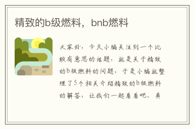 精致的b级燃料，bnb燃料