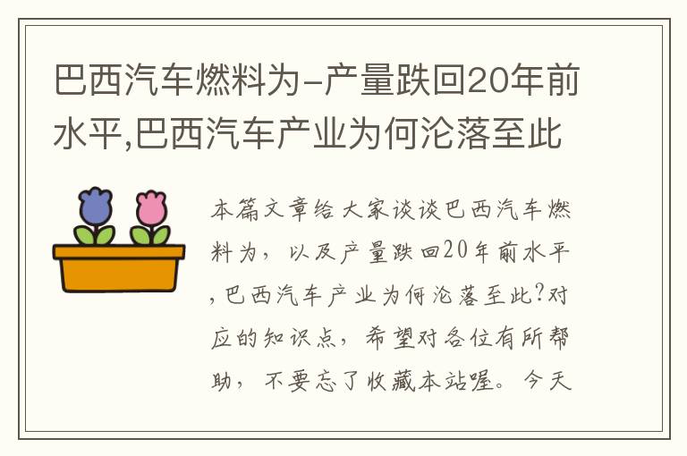 巴西汽车燃料为-产量跌回20年前水平,巴西汽车产业为何沦落至此?