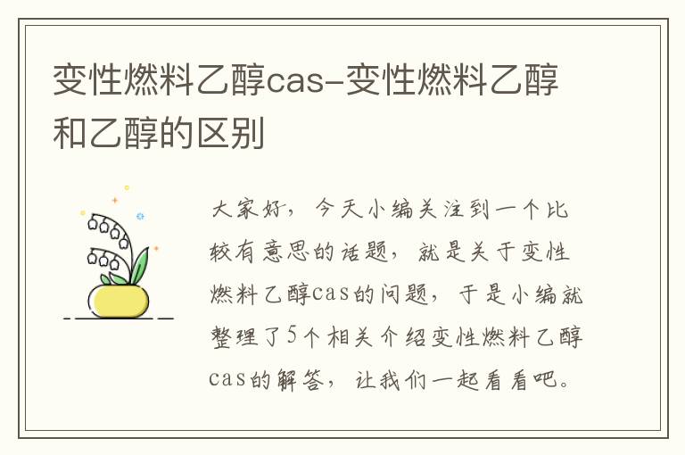 变性燃料乙醇cas-变性燃料乙醇和乙醇的区别