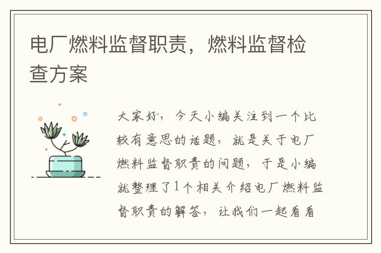 电厂燃料监督职责，燃料监督检查方案