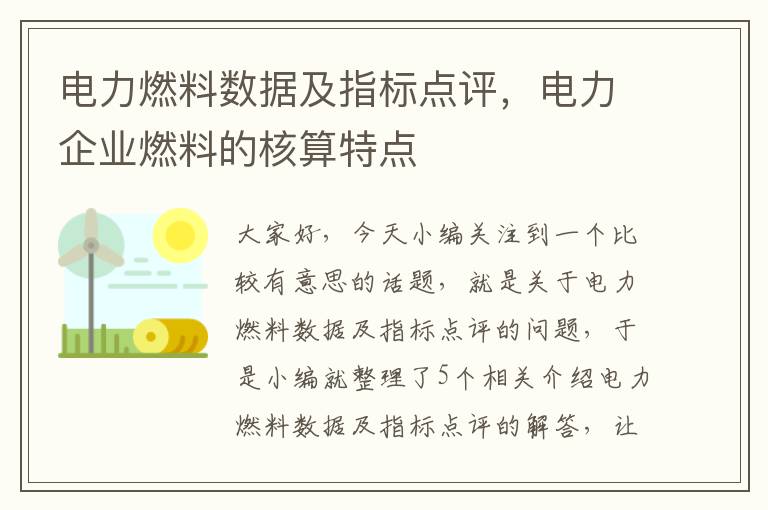 电力燃料数据及指标点评，电力企业燃料的核算特点