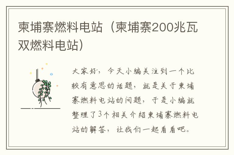 柬埔寨燃料电站（柬埔寨200兆瓦双燃料电站）