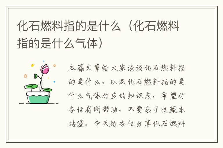 化石燃料指的是什么（化石燃料指的是什么气体）