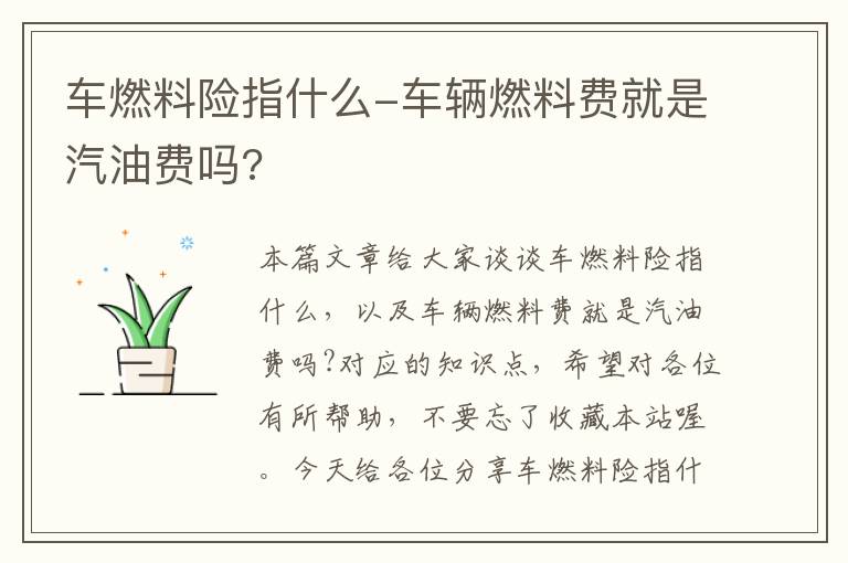 车燃料险指什么-车辆燃料费就是汽油费吗?