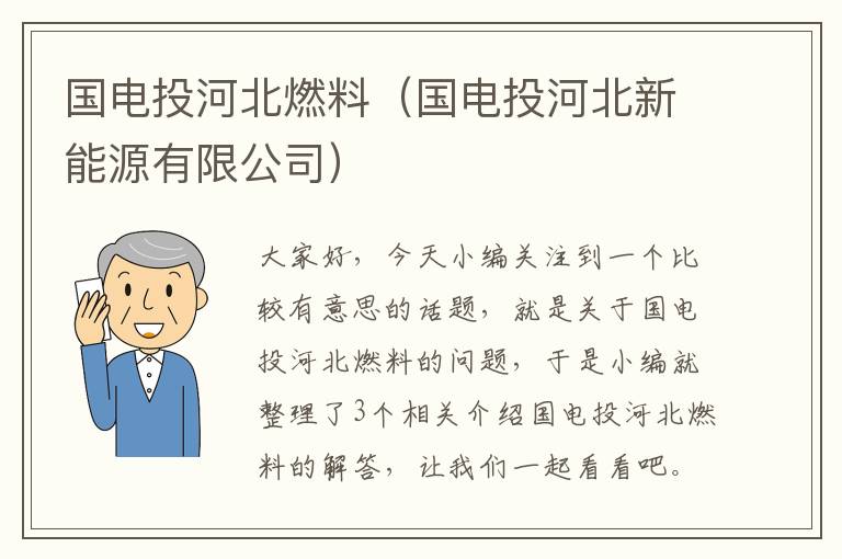 国电投河北燃料（国电投河北新能源有限公司）