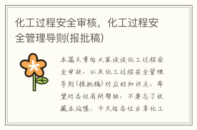 化工过程安全审核，化工过程安全管理导则(报批稿)