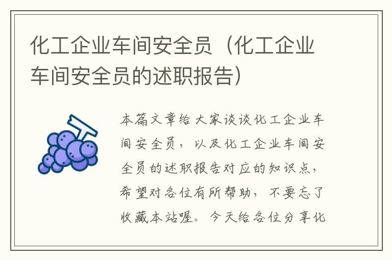 化工企业车间安全员（化工企业车间安全员的述职报告）