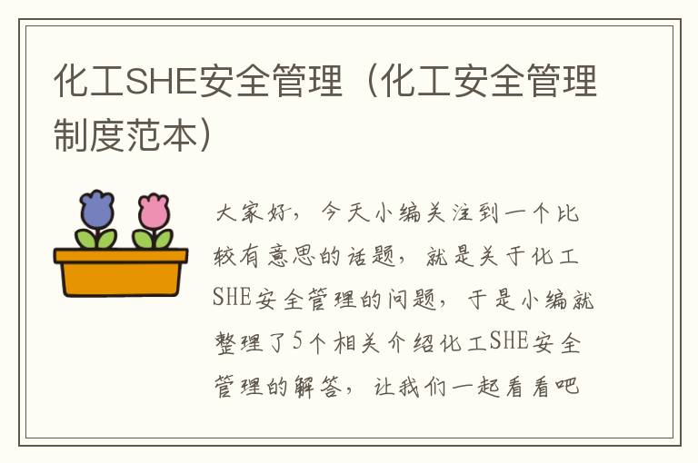 化工SHE安全管理（化工安全管理制度范本）