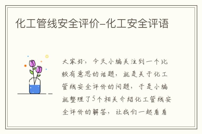 化工管线安全评价-化工安全评语