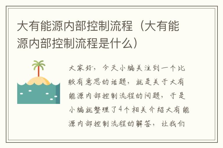 大有能源内部控制流程（大有能源内部控制流程是什么）