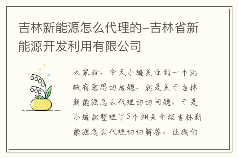 吉林新能源怎么代理的-吉林省新能源开发利用有限公司