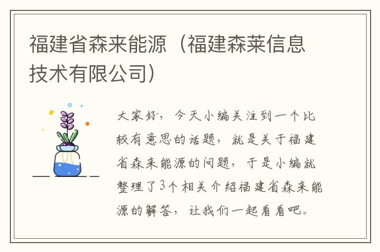 福建省森来能源（福建森莱信息技术有限公司）