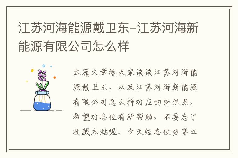 江苏河海能源戴卫东-江苏河海新能源有限公司怎么样