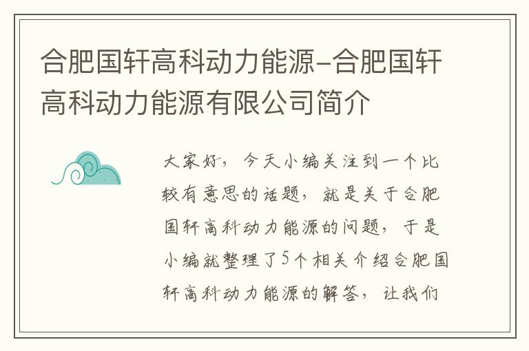 合肥国轩高科动力能源-合肥国轩高科动力能源有限公司简介