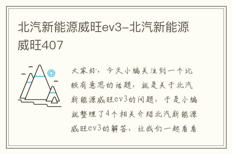 北汽新能源威旺ev3-北汽新能源威旺407