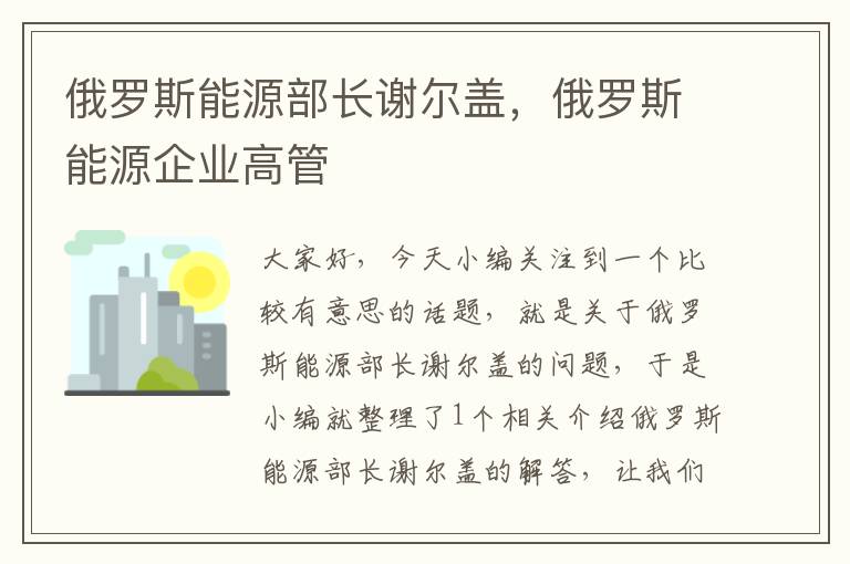 俄罗斯能源部长谢尔盖，俄罗斯能源企业高管