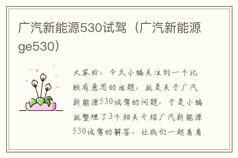 广汽新能源530试驾（广汽新能源ge530）