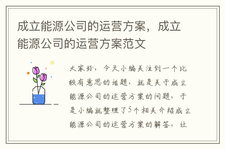 成立能源公司的运营方案，成立能源公司的运营方案范文