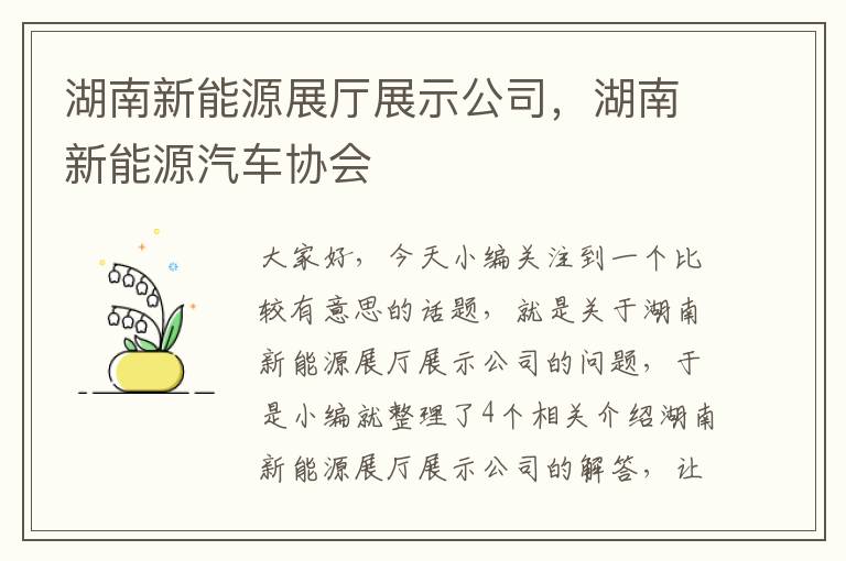 湖南新能源展厅展示公司，湖南新能源汽车协会