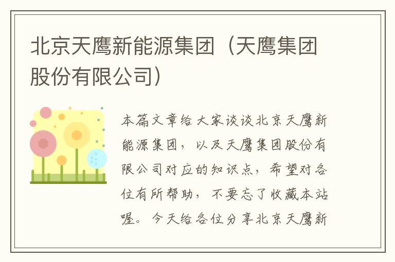 北京天鹰新能源集团（天鹰集团股份有限公司）