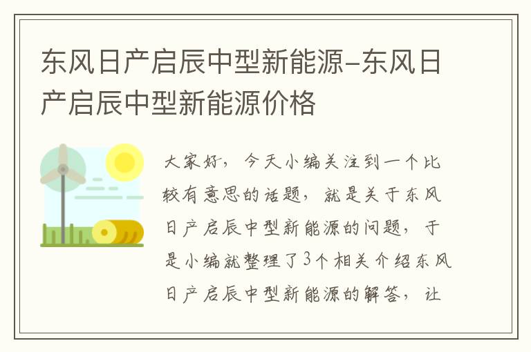 东风日产启辰中型新能源-东风日产启辰中型新能源价格