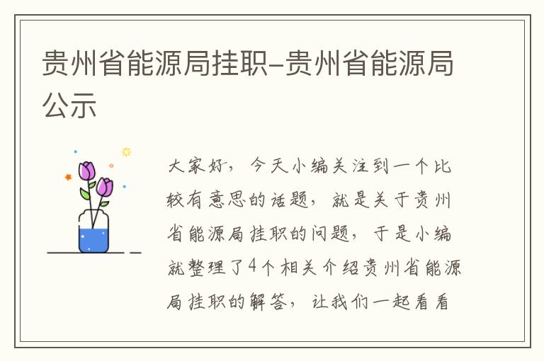 贵州省能源局挂职-贵州省能源局公示