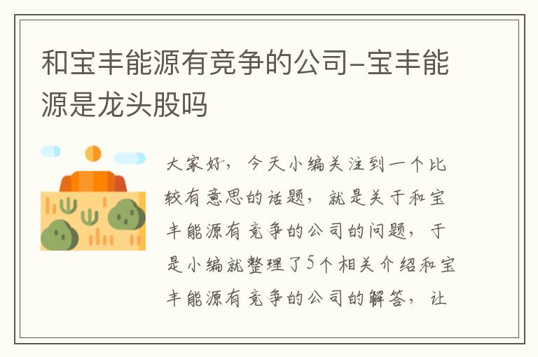 和宝丰能源有竞争的公司-宝丰能源是龙头股吗