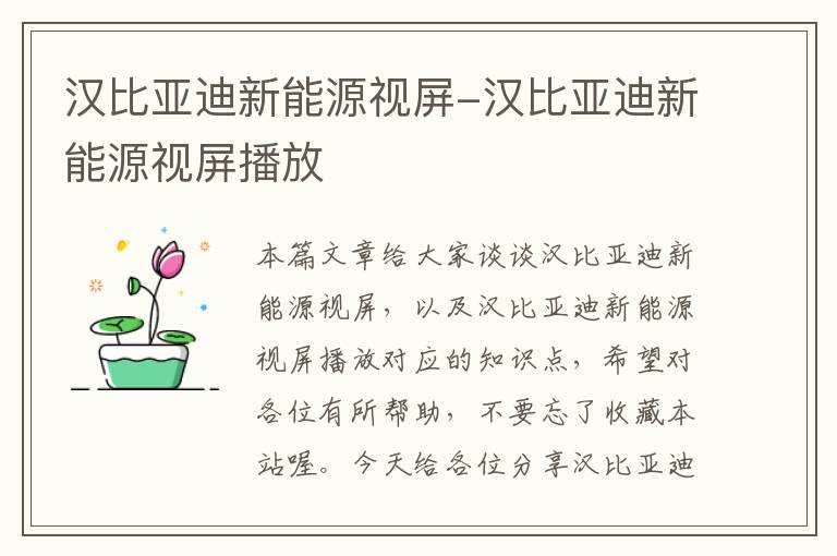 汉比亚迪新能源视屏-汉比亚迪新能源视屏播放