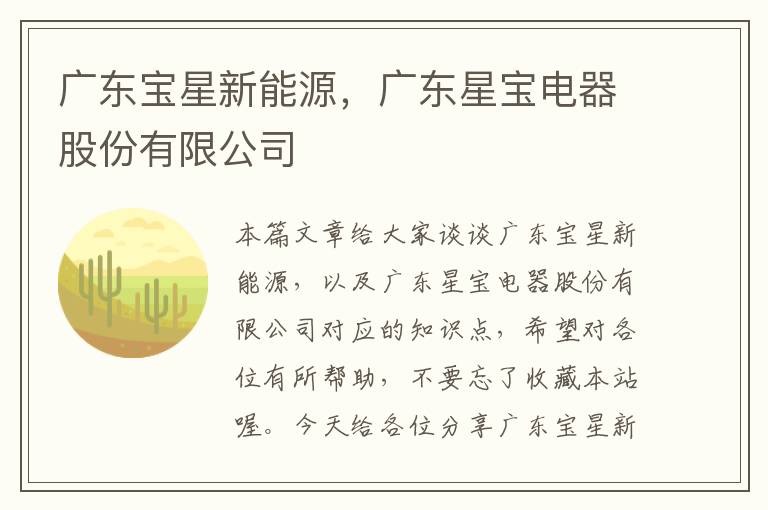 广东宝星新能源，广东星宝电器股份有限公司