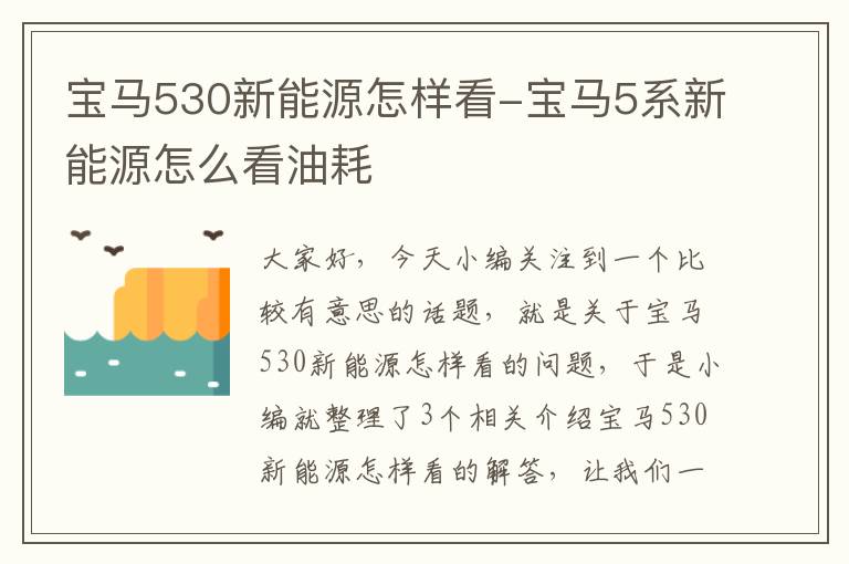 宝马530新能源怎样看-宝马5系新能源怎么看油耗