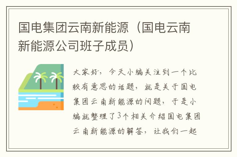 国电集团云南新能源（国电云南新能源公司班子成员）