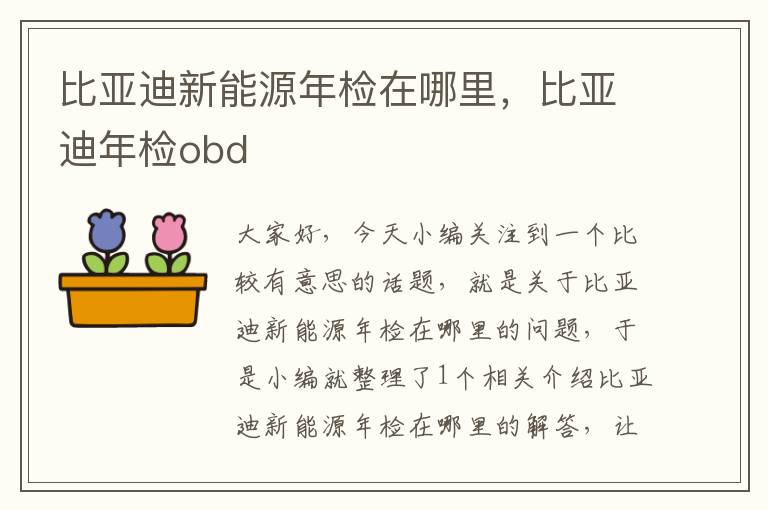 比亚迪新能源年检在哪里，比亚迪年检obd