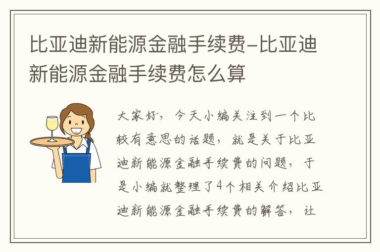 比亚迪新能源金融手续费-比亚迪新能源金融手续费怎么算