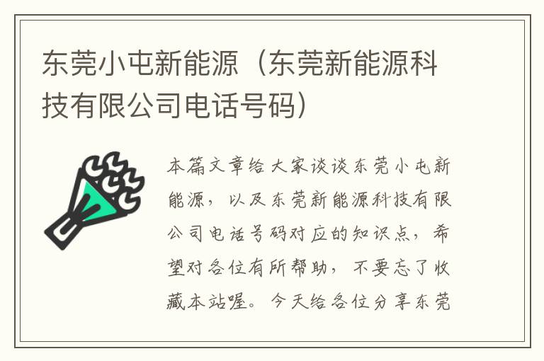 东莞小屯新能源（东莞新能源科技有限公司电话号码）