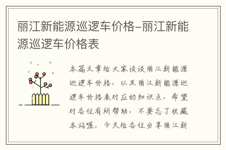 丽江新能源巡逻车价格-丽江新能源巡逻车价格表