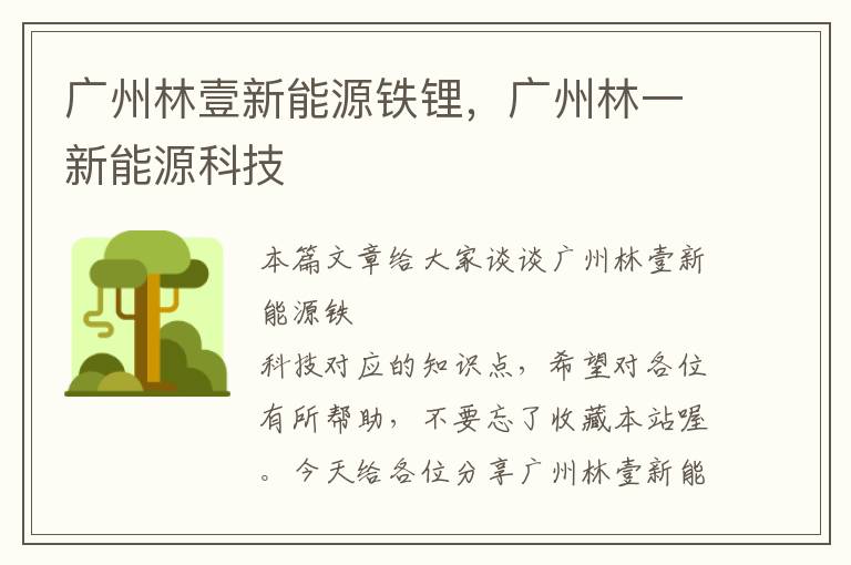 广州林壹新能源铁锂，广州林一新能源科技