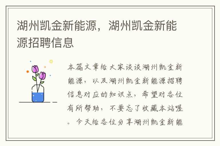 湖州凯金新能源，湖州凯金新能源招聘信息