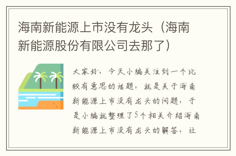 海南新能源上市没有龙头（海南新能源股份有限公司去那了）