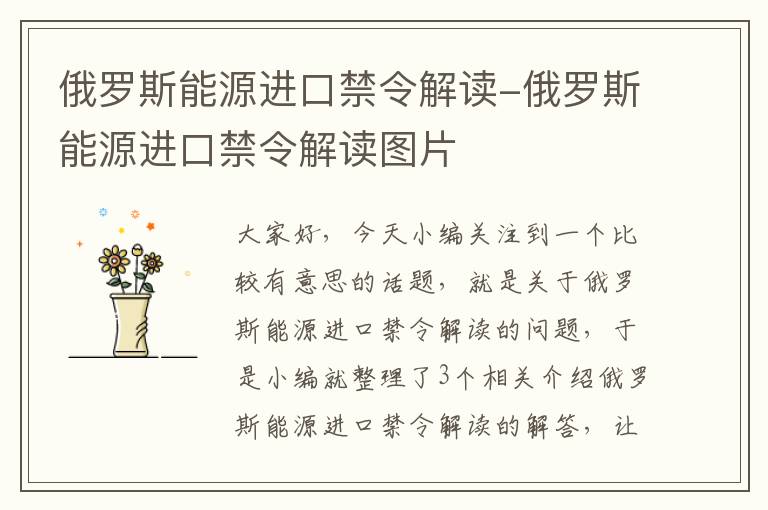 俄罗斯能源进口禁令解读-俄罗斯能源进口禁令解读图片