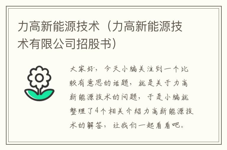 力高新能源技术（力高新能源技术有限公司招股书）