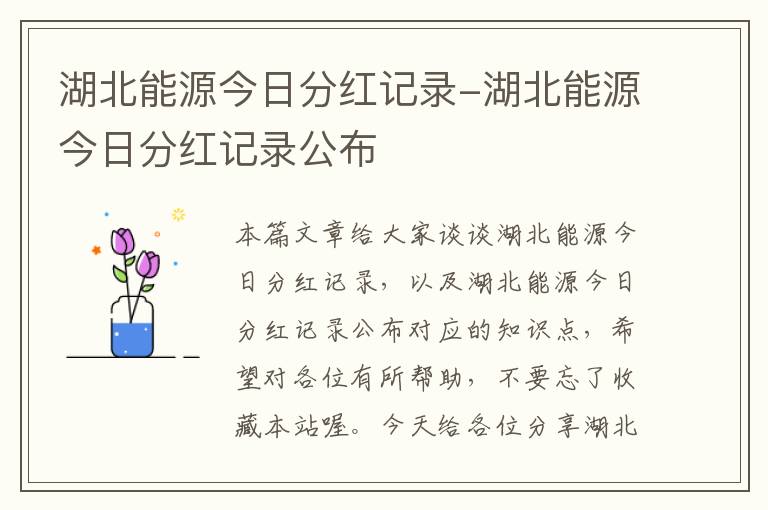 湖北能源今日分红记录-湖北能源今日分红记录公布