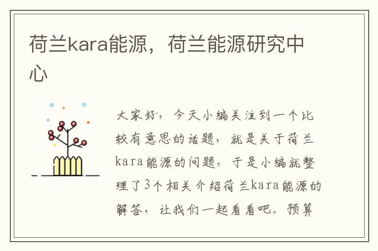 荷兰kara能源，荷兰能源研究中心