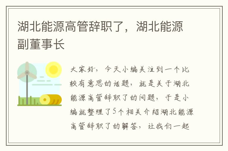 湖北能源高管辞职了，湖北能源副董事长