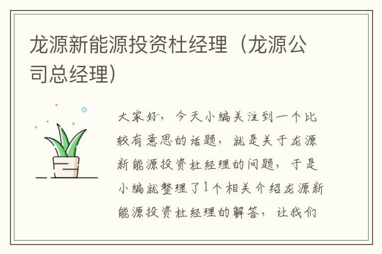 龙源新能源投资杜经理（龙源公司总经理）